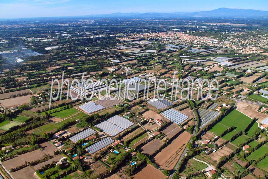 84agriculture-vaucluse-28-0806