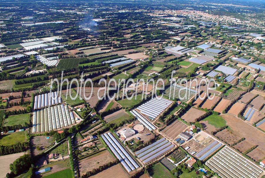 84agriculture-vaucluse-29-0806