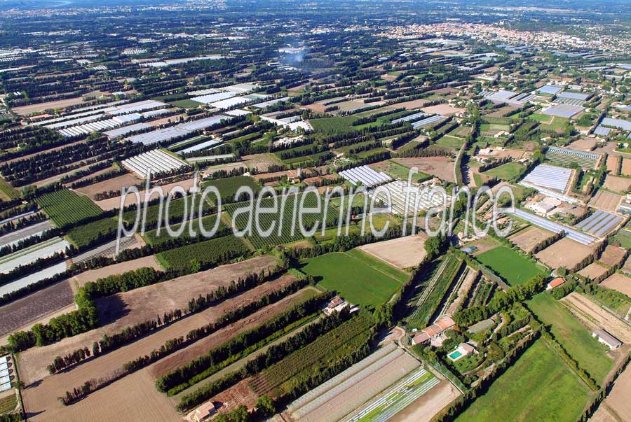 84agriculture-vaucluse-30-0806