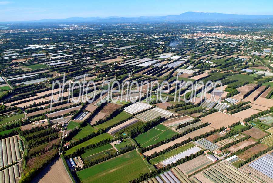 84agriculture-vaucluse-33-0806