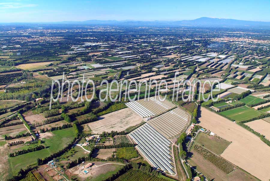 84agriculture-vaucluse-35-0806