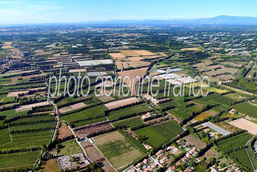 84agriculture-vaucluse-37-0806
