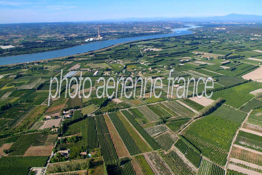 84agriculture-vaucluse-40-0806