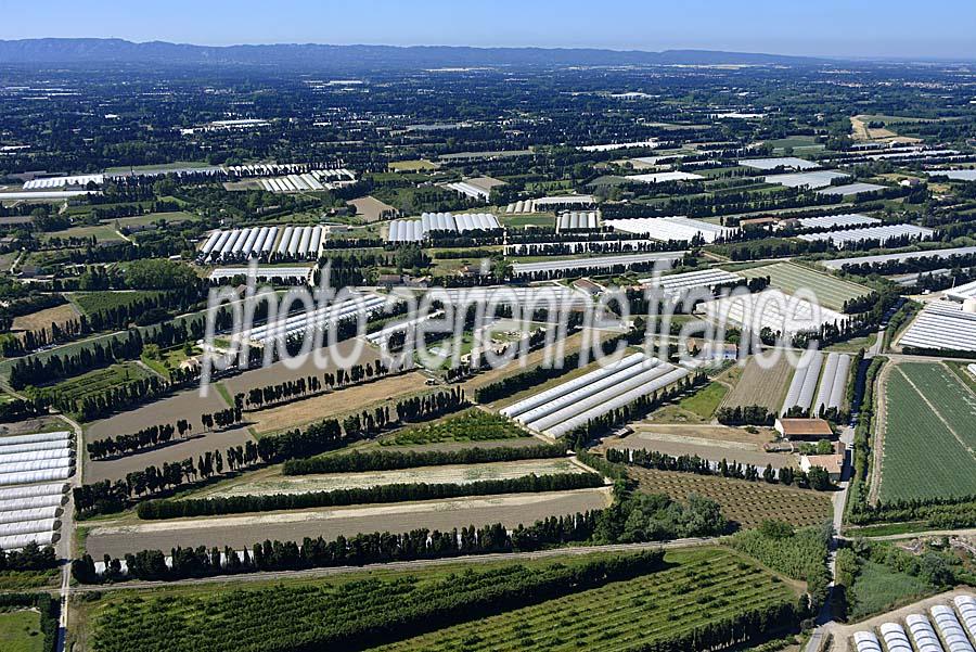 84agriculture-vaucluse-5-0616