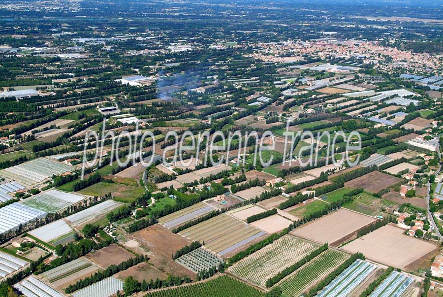 84agriculture-vaucluse-5-0806