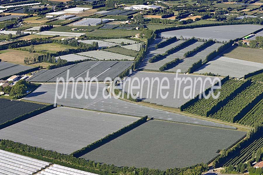 84agriculture-vaucluse-8-0717