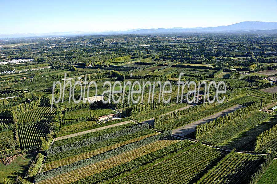 84agriculture-vaucluse-8-0911