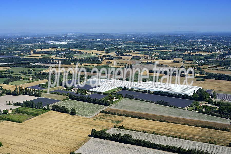 84agriculture-vaucluse-9-0616