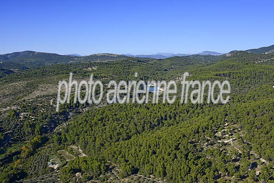 84foret-mont-ventoux-1-0915