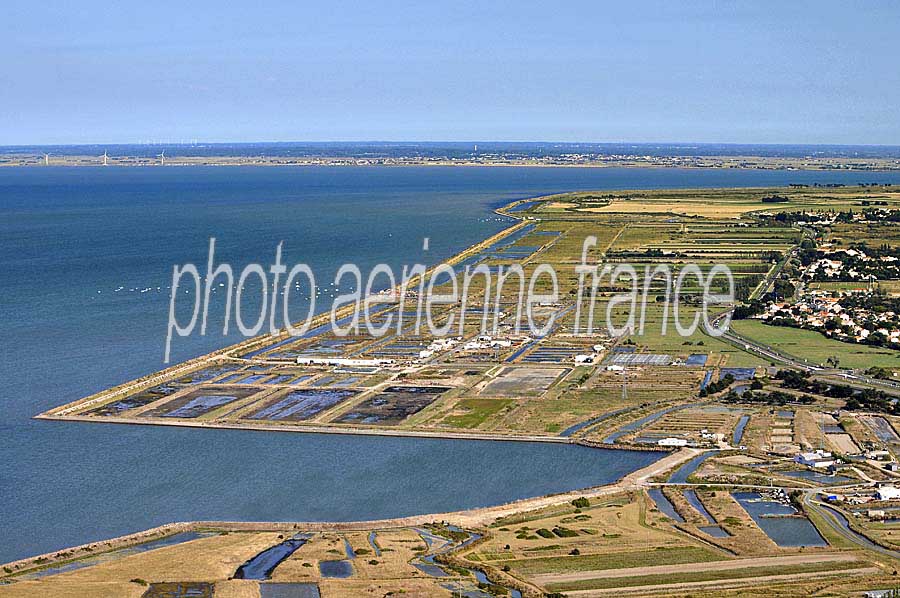 85ile-de-noirmoutier-13-0809