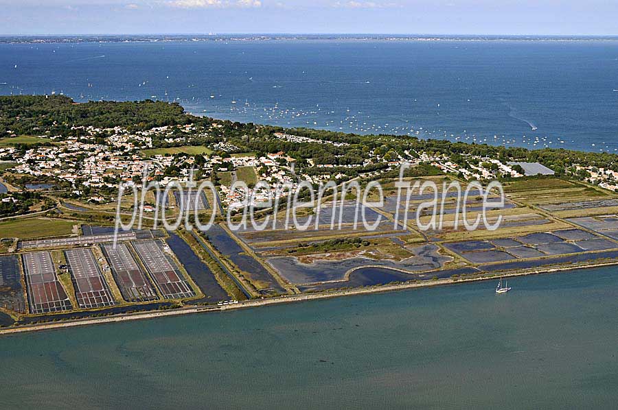 85ile-de-noirmoutier-17-0809