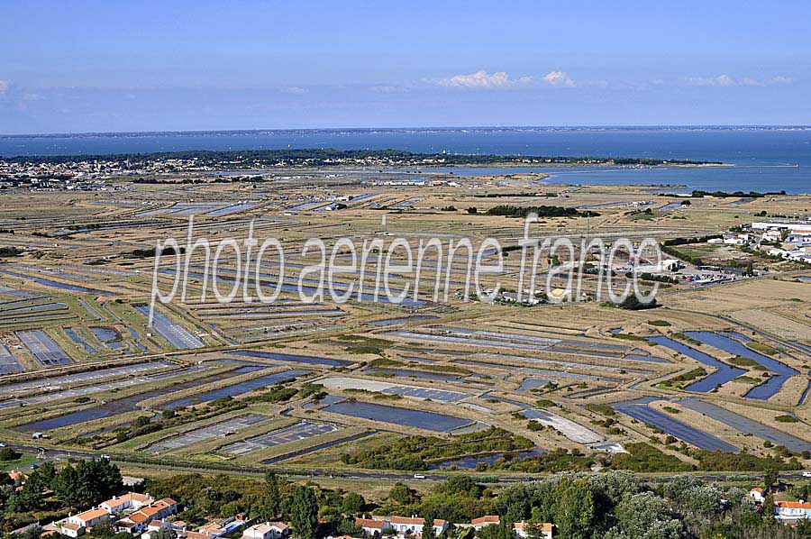 85ile-de-noirmoutier-20-0809