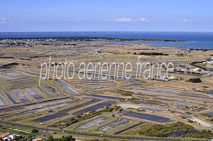 85ile-de-noirmoutier-9-0809