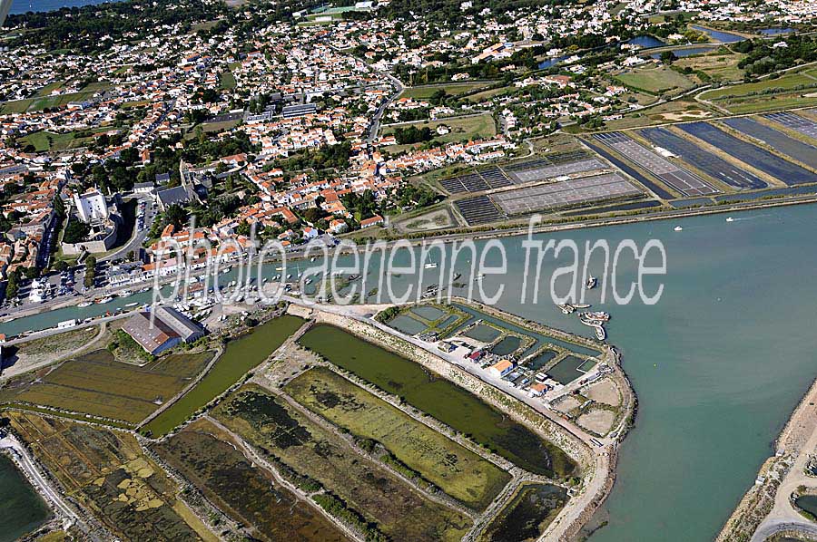 85noirmoutier-en-l-ile-2-0809