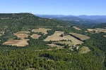 04agriculture-alpes-de-haute-provence-21-0717 - Photo aérienne agriculture-alpes-de-haute-provence (21) - Alpes de Haute-Provence : PAF