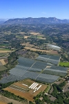 04agriculture-alpes-de-haute-provence-32-0717 - Photo aérienne agriculture-alpes-de-haute-provence (32) - Alpes de Haute-Provence : PAF