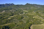 photo aérienne oliveraies-drome