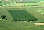 67agriculture-5-0807 - Photo aérienne Agriculture (5) - Bas-Rhin : PAF