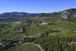 photo aérienne vignoble-vaucluse