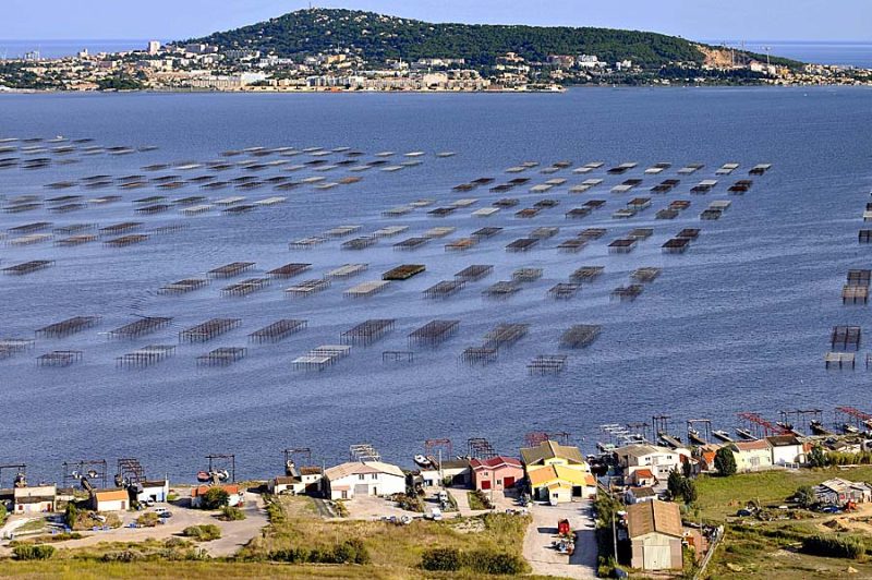Photo aérienne d'Etang de Thau (34) — Hérault (n°37)